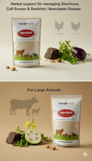 Entroherb - Effective Treatment for Diarrhoea and Calf Scours