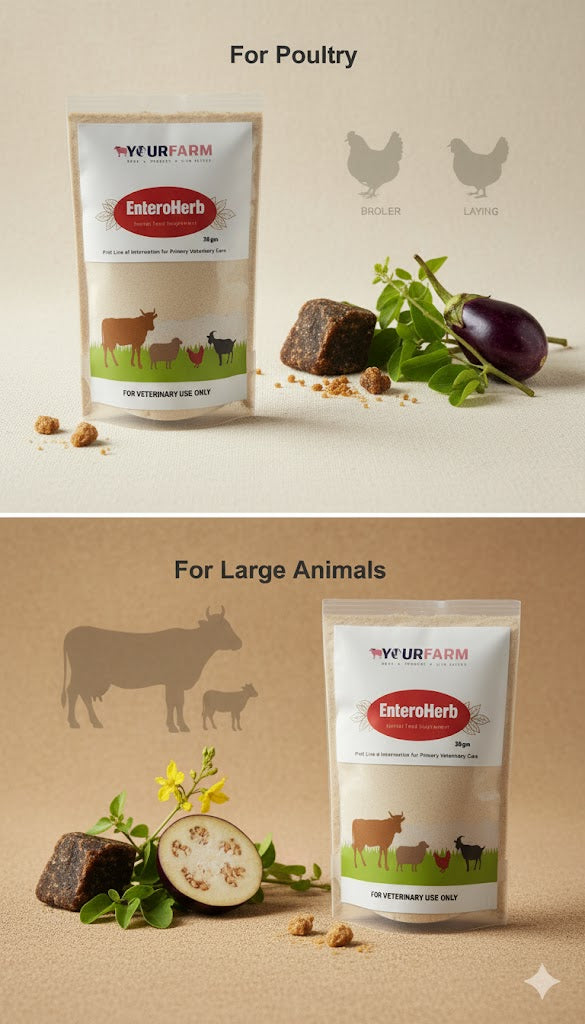 Entroherb - Effective Treatment for Diarrhoea and Calf Scours