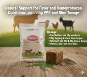 Febonorm - Supports Fever Relief, Hemoprotozoan & Lumpy Skin Diseases; Enhances Immunity