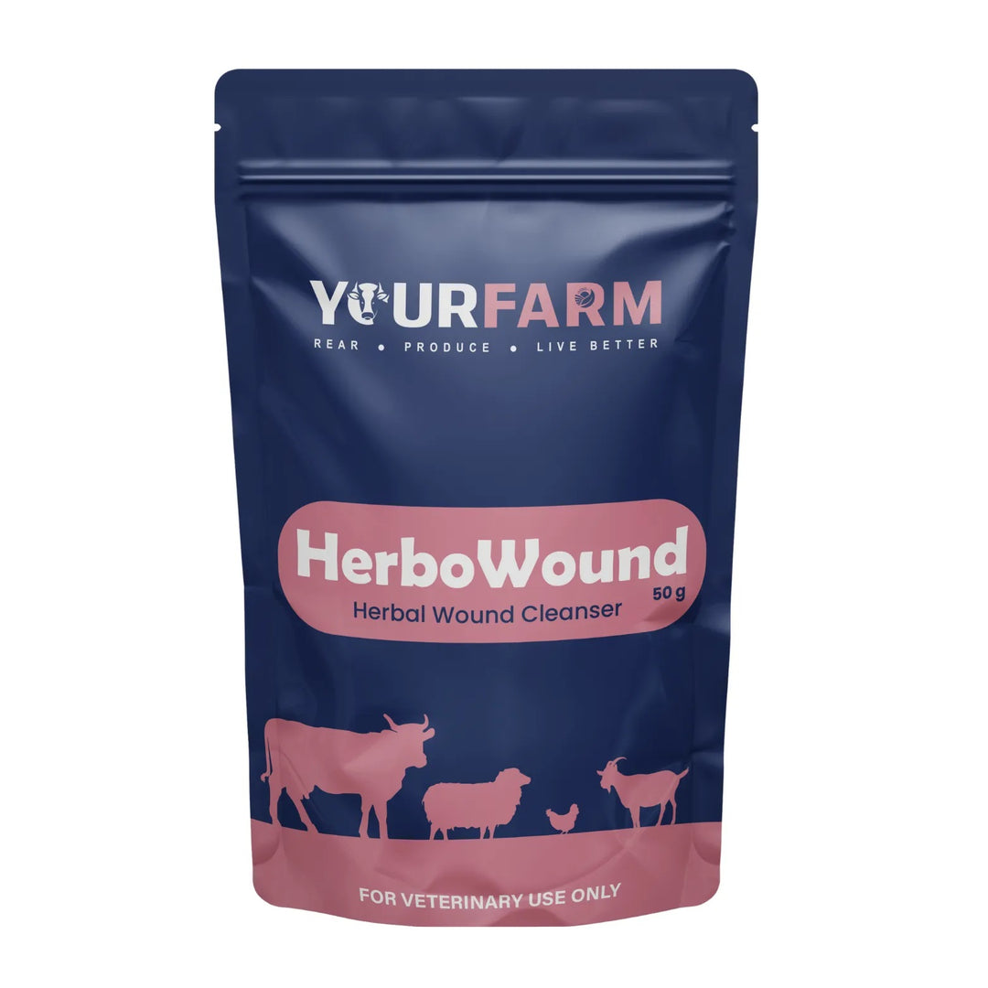 Herbowound - Effective Wound Healing for Fresh, Infected, and Maggot Wounds