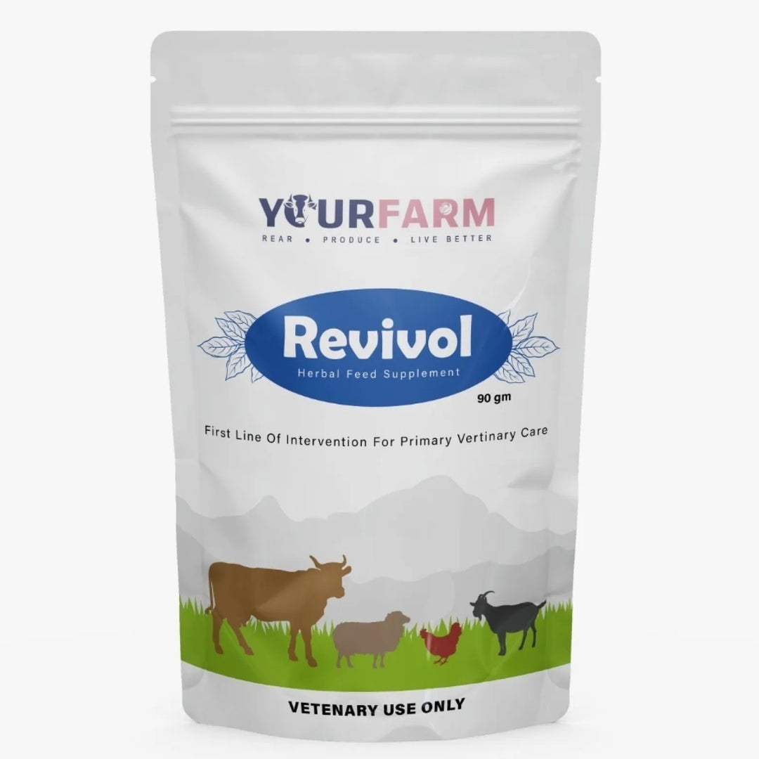 Revivol - A Restorative Herbo-Mineral Tonic for Weakness, Emaciation & Post-illness Care