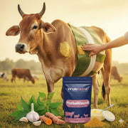 Herbowound - Effective Wound Healing for Fresh, Infected, and Maggot Wounds